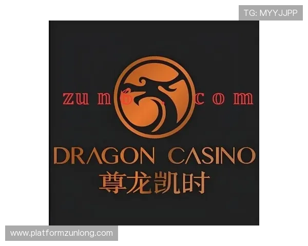 尊龙时凯人生官网电脑版免费下载渠道与使用体验全攻略